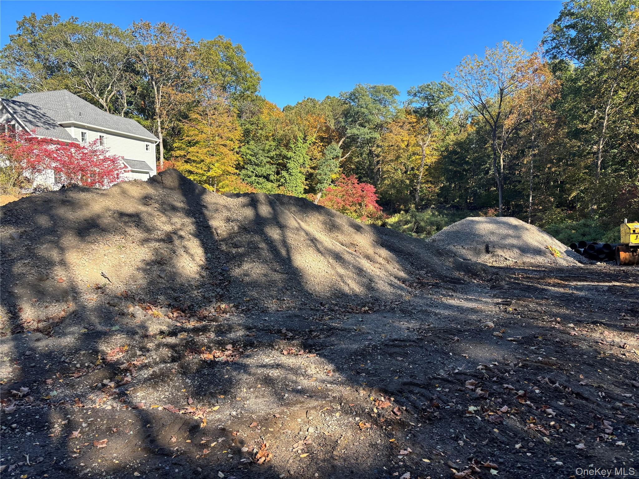 65 Buckout Road West Harrison, NY 10604 - Photo 4 of 11 a view of a yard with a tree