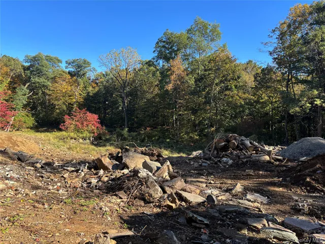 a view of outdoor space and yard