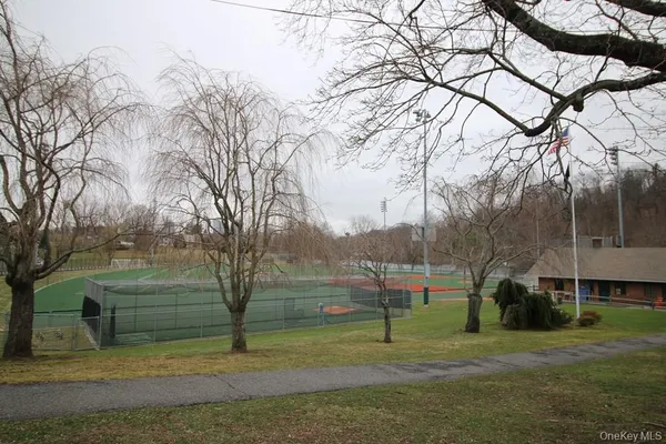 a view of a field with a tree