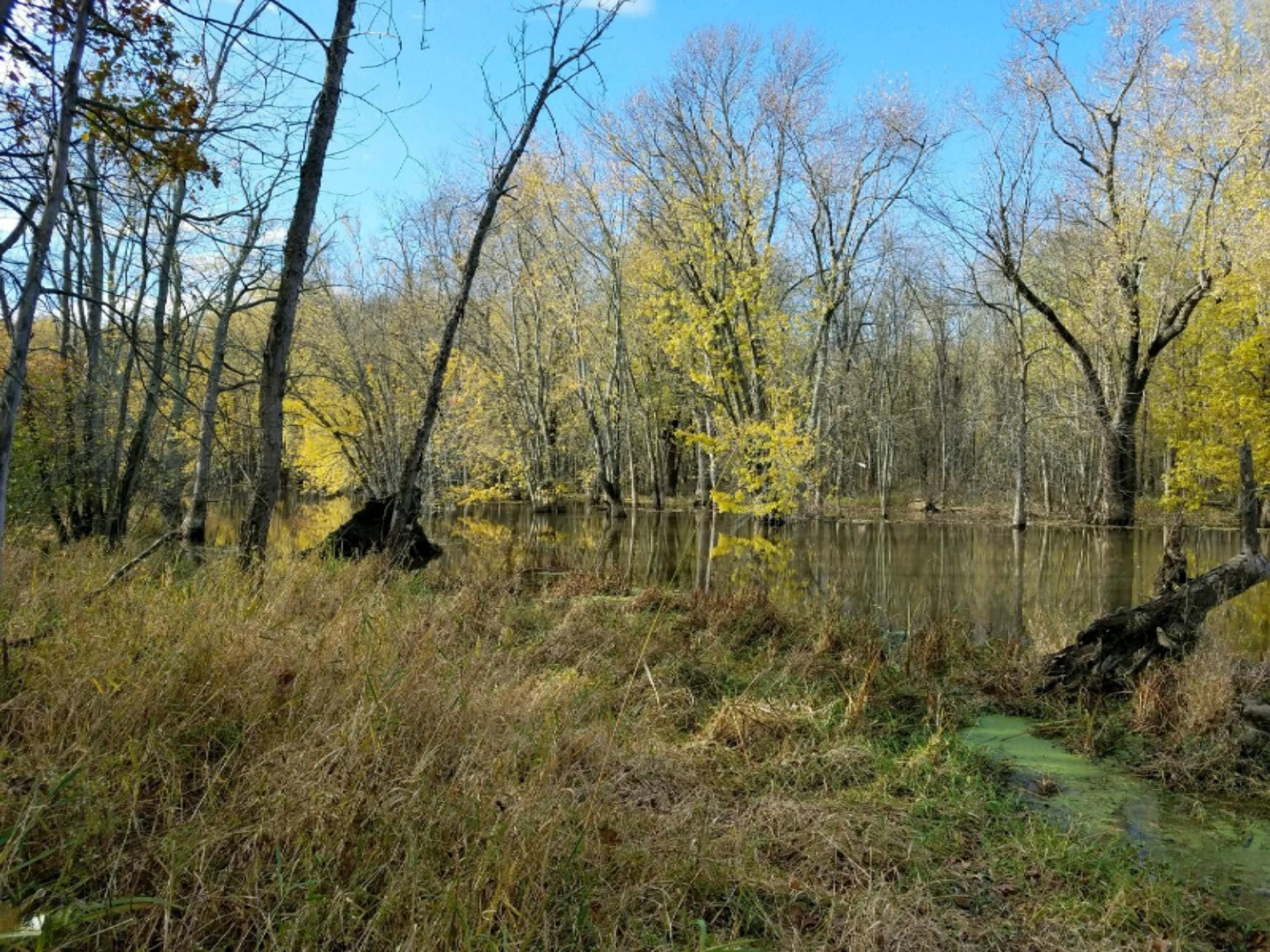 Lot 6 West Island Road Fowler, MI 48835 - Photo 1 of 3 Lot 6 river fr