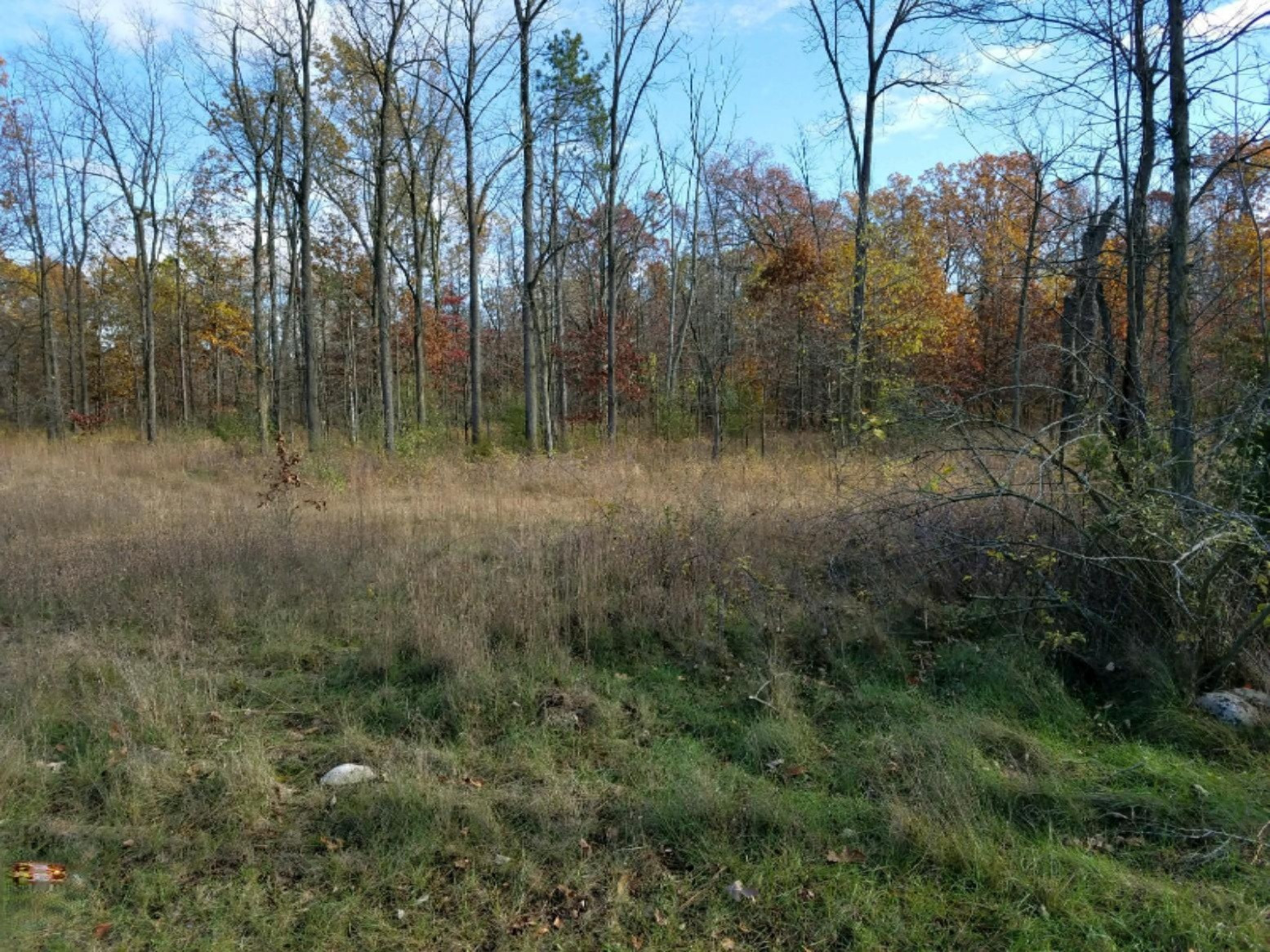 Lot 6 West Island Road Fowler, MI 48835 - Photo 2 of 3 Lot 6 pic