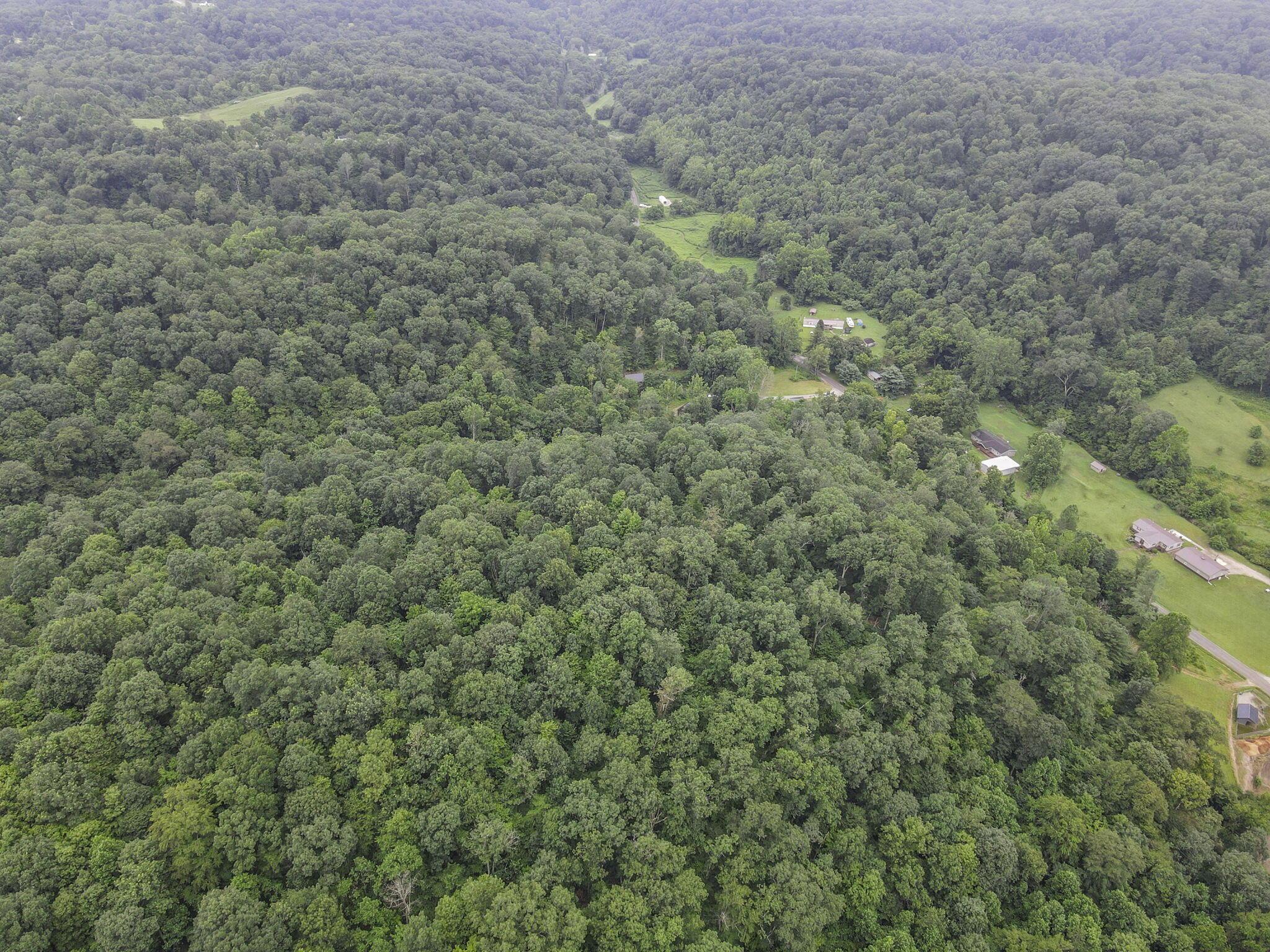 0 Greens Run Road Glouster, OH 45732 - Photo 66 of 121 66-web-or-mls-DJI_0267