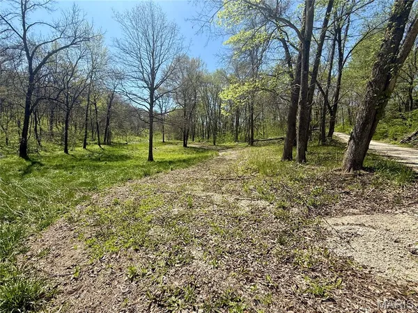 $289,000 | 1194 Shelby 185, Bethel, MO 63434