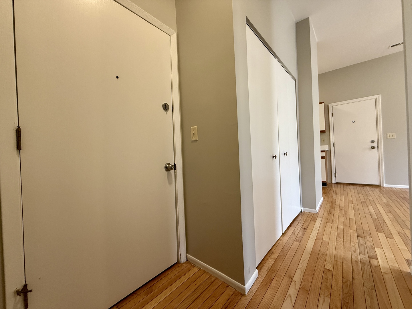 556 West 37th Street, Unit 3F Chicago, IL 60609 - Photo 3 of 12 a view of a room with wooden floor