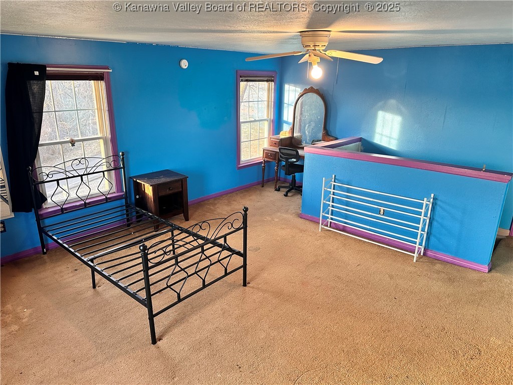 12907 Redmond Ridge Road Gallipolis Ferry, WV 25515 - Photo 20 of 42 Gallery Image 20