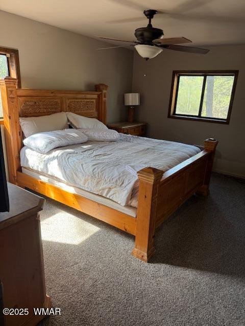 2832 View Way Lakeside, AZ 85929 - Photo 23 of 50