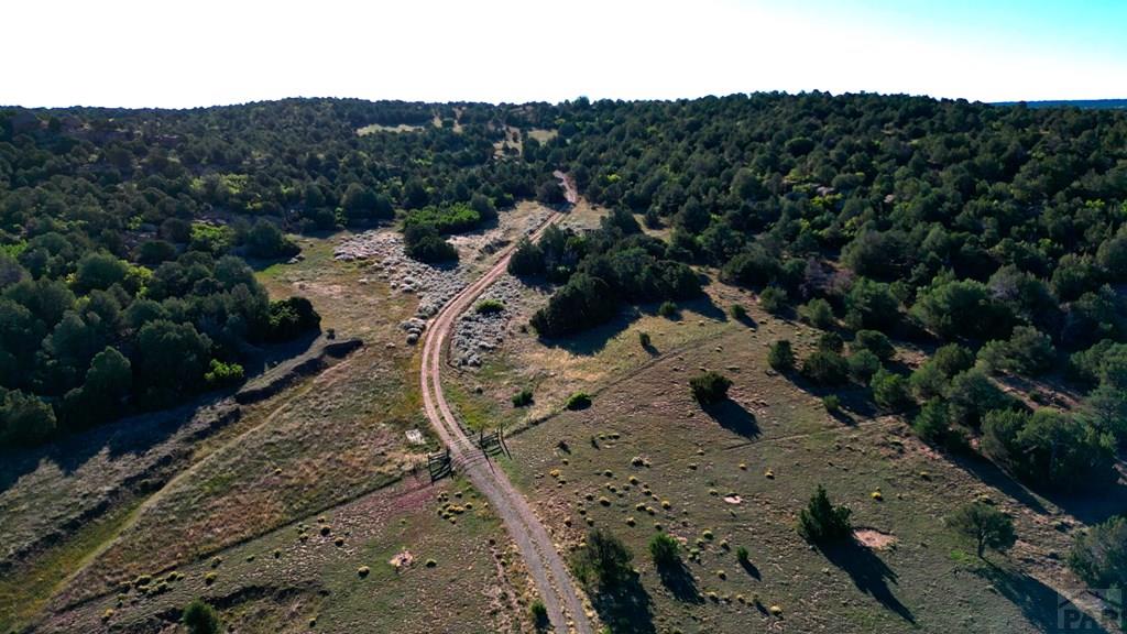 Tbd Bear Creek Road Walsenburg, CO 81089 - Photo 3 of 37