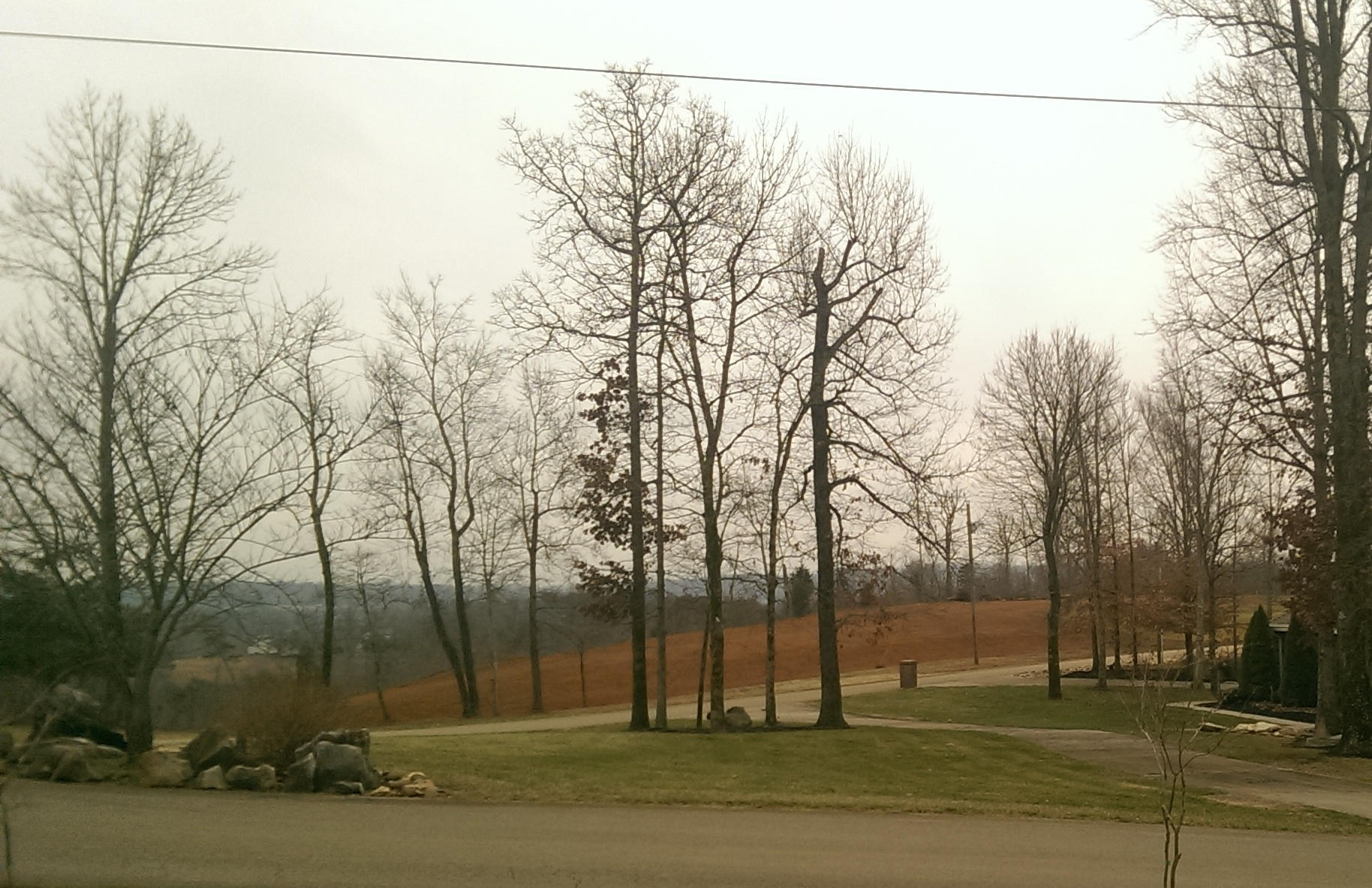 IMAG0854