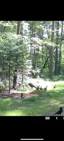 $89,900 | 67246 340th Avenue, Hill City, MN 55748