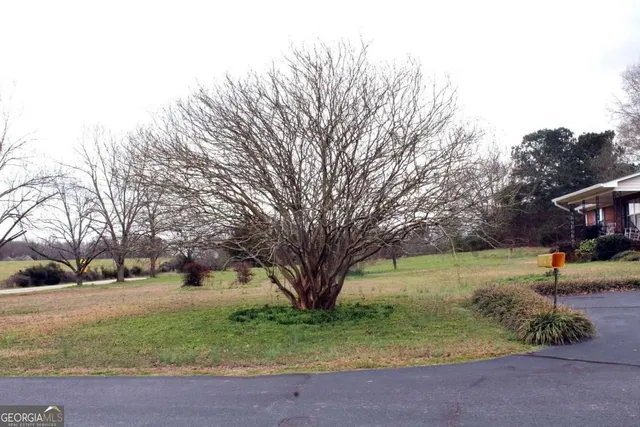 a view of yard with tree s