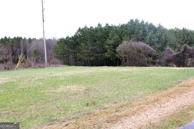 a view of a field with trees in the background
