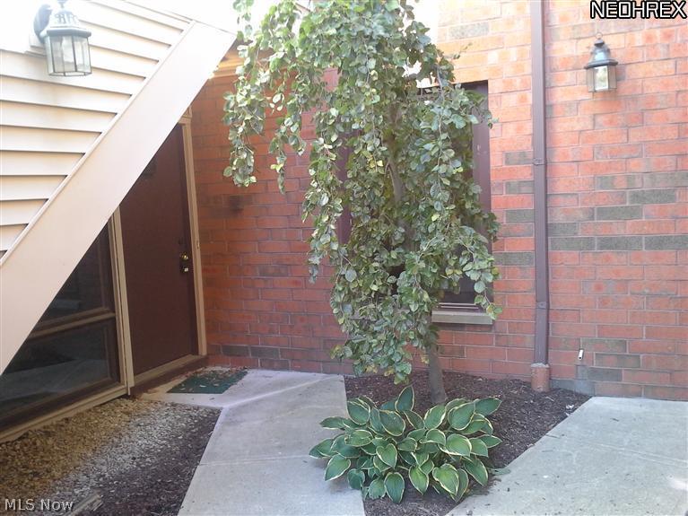4685 Mayfield Road, Unit D South Euclid, OH 44121 - Photo 2 of 6