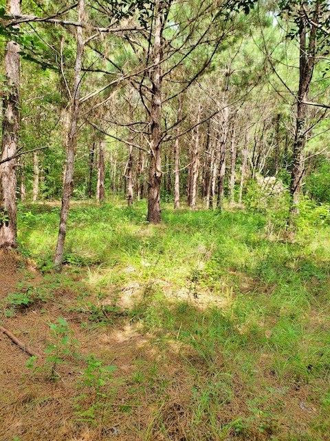 295 Old Sandy Hook Road Sandy Hook, MS 39478 - Photo 16 of 22 Photo 16