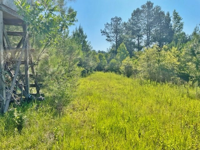 295 Old Sandy Hook Road Sandy Hook, MS 39478 - Photo 4 of 22 Photo 4