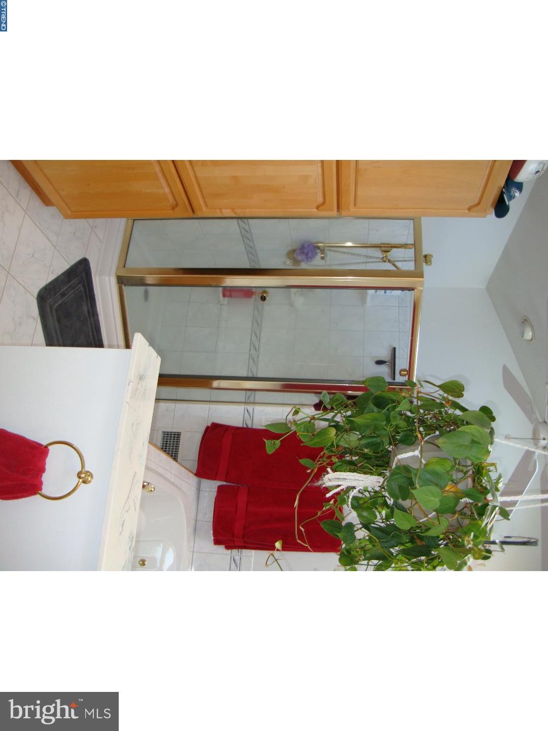 716 Locust Grove Road West Chester, PA 19382 - Photo 16 of 22 Master Bathroom