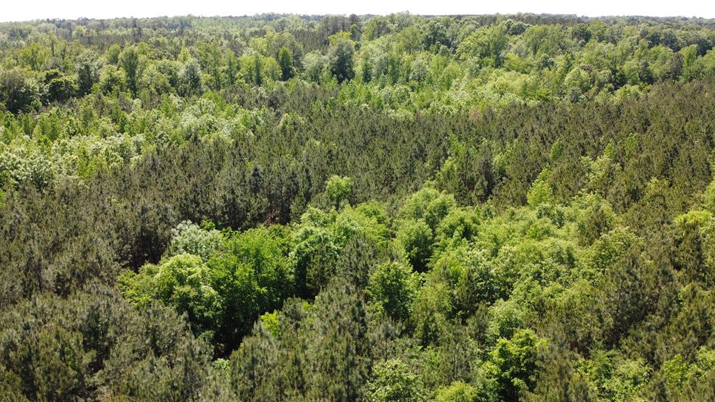 22 Old Chappell Ferry Road Saluda, SC 29138 - Photo 1 of 5
