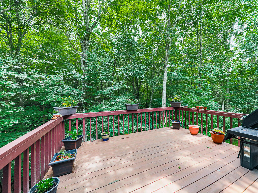 314 Spring Creek Road Blairsville, GA 30512 - Photo 21 of 34 Gallery Image 21
