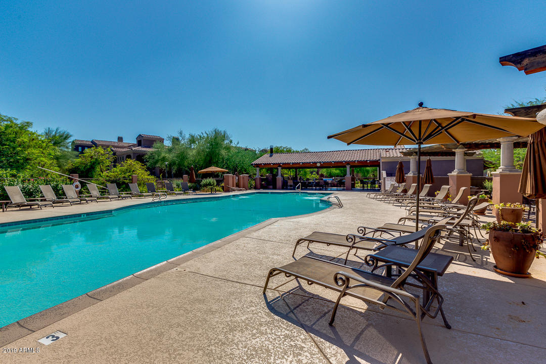3935 East Rough Rider Road, Unit 1241 Phoenix, AZ 85050 - Photo 36 of 45 a view of a swimming pool with a patio