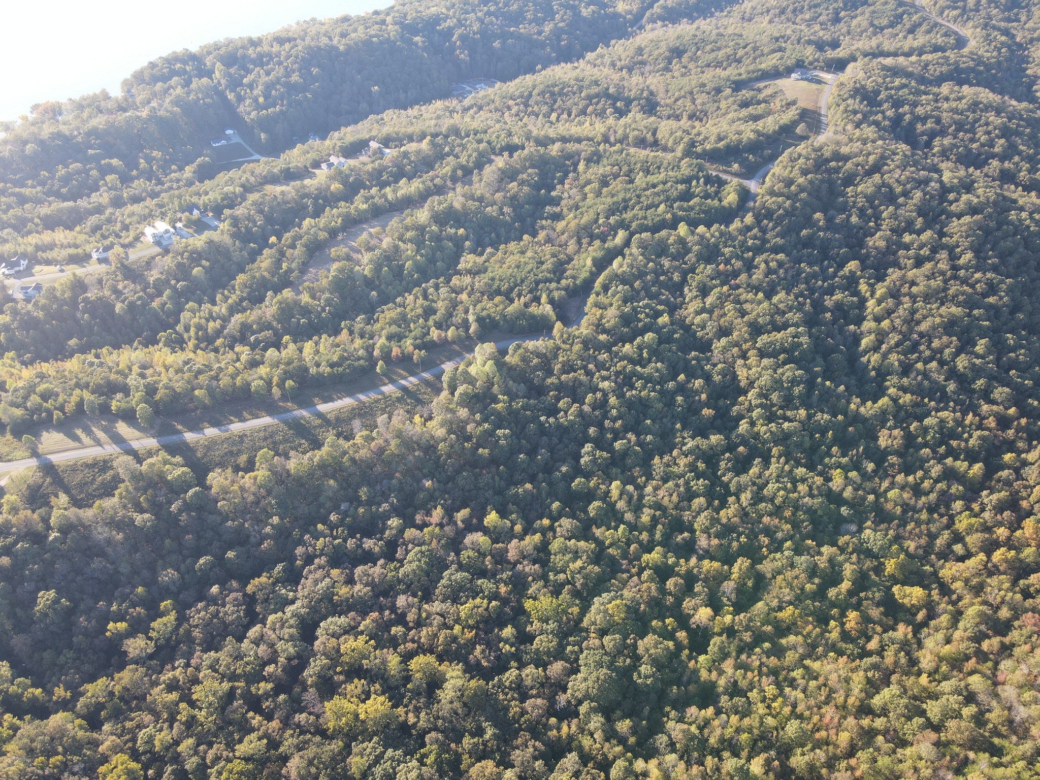 0 Bluff Point Ridge Road Waverly, TN 37185 - Photo 8 of 12 View of the wooded Tract