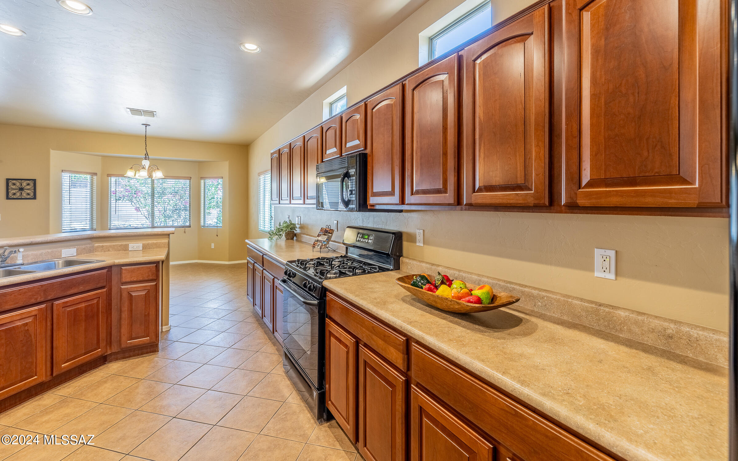 3629 East Fjord Pony Road Tucson, AZ 85739 - Photo 3 of 36
