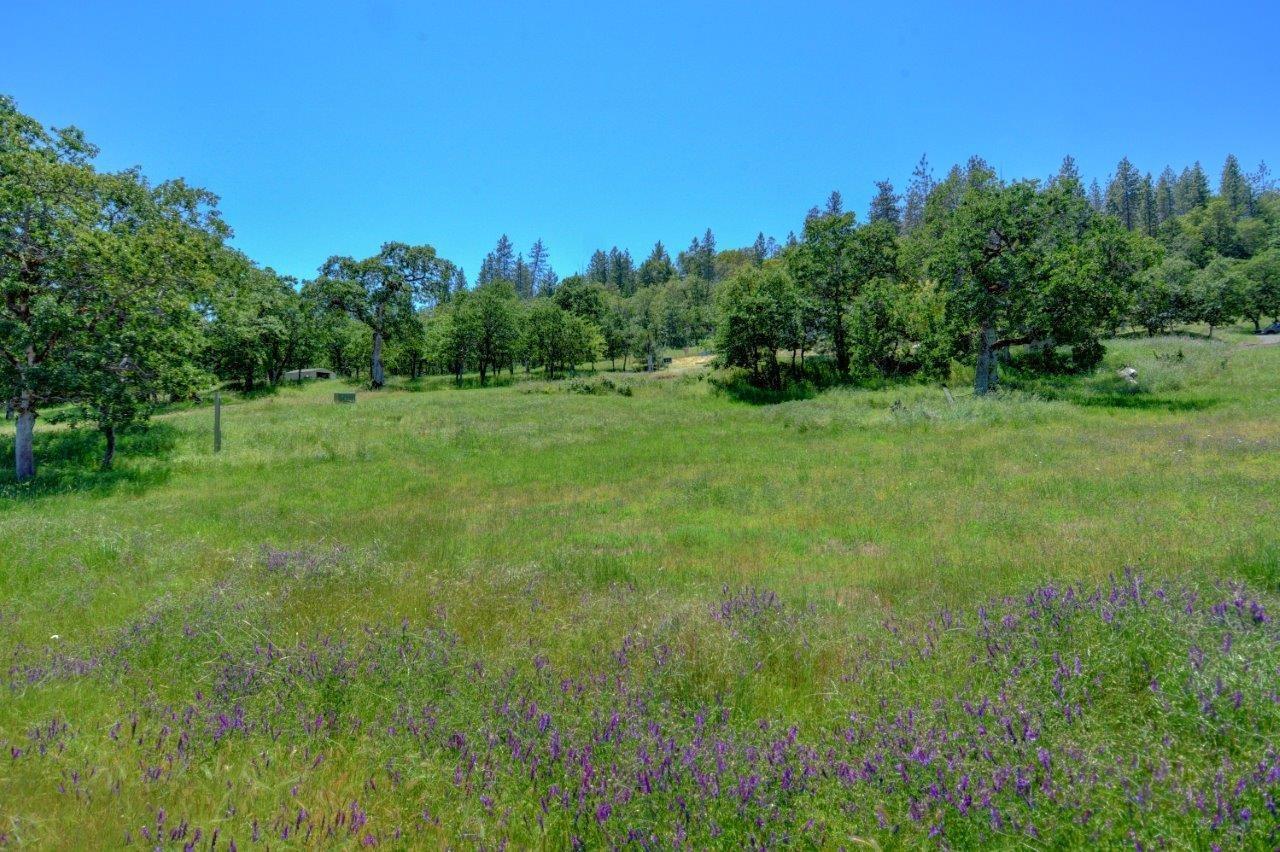 15987 Jones Road White City, OR 97503 - Photo 18 of 22 Additional Photo