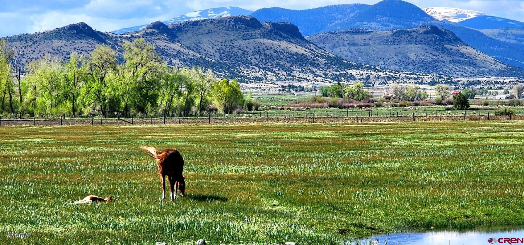 Tbd Tbd Spruce Street Del Norte, CO 81132 - Photo 37 of 44 a view of a golf ground with huge green field and large trees