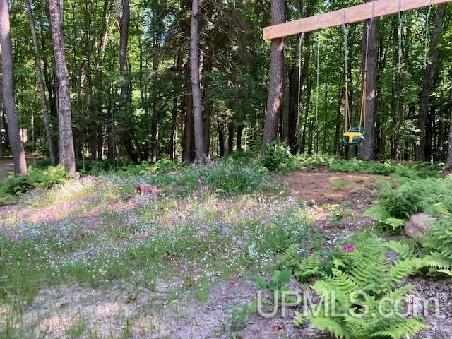 N7228 Rock River Road Deerton, MI 49822 - Photo 28 of 46