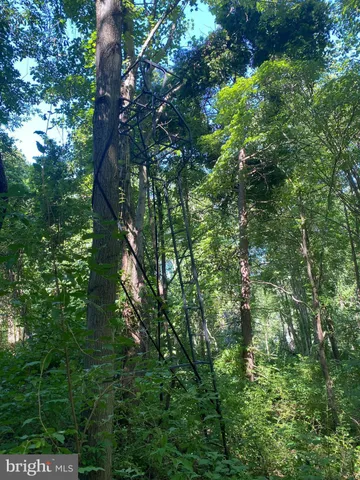 $889,990 | Coon Club, Hampstead, MD 21074