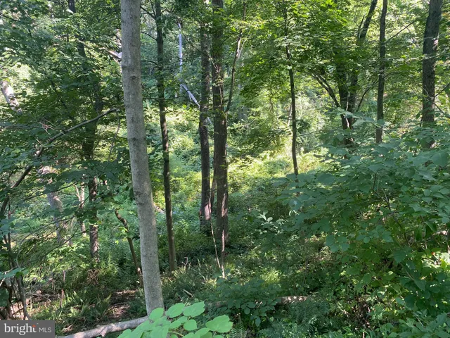 $889,990 | Coon Club, Hampstead, MD 21074