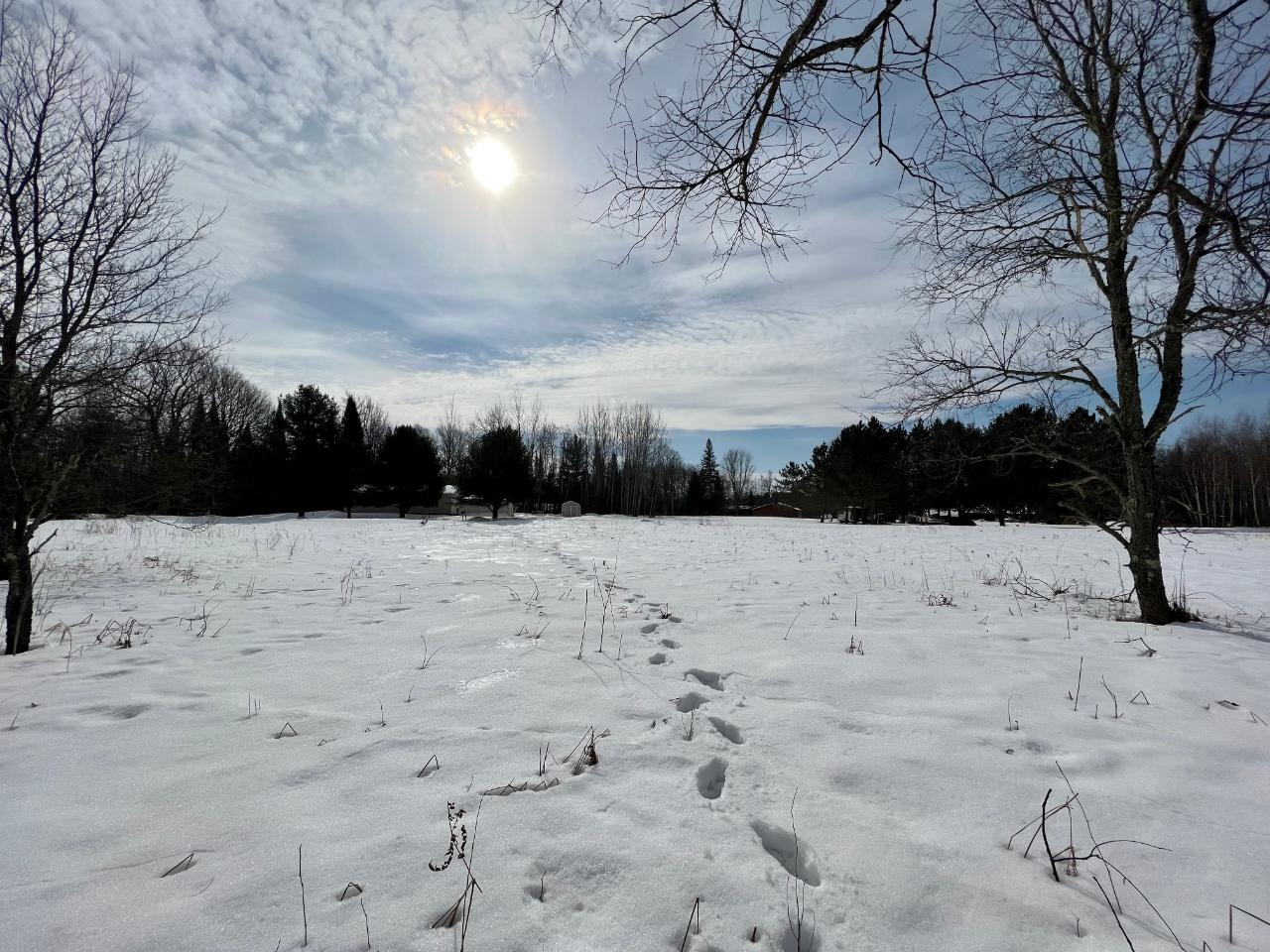 On Big Pine Drive Rhinelander, WI 54501 - Photo 13 of 19 Gallery Image 13