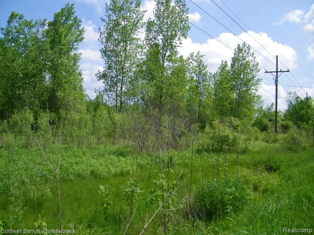 Par E Waterman Road Mayville, MI 48744 - Photo 2 of 8