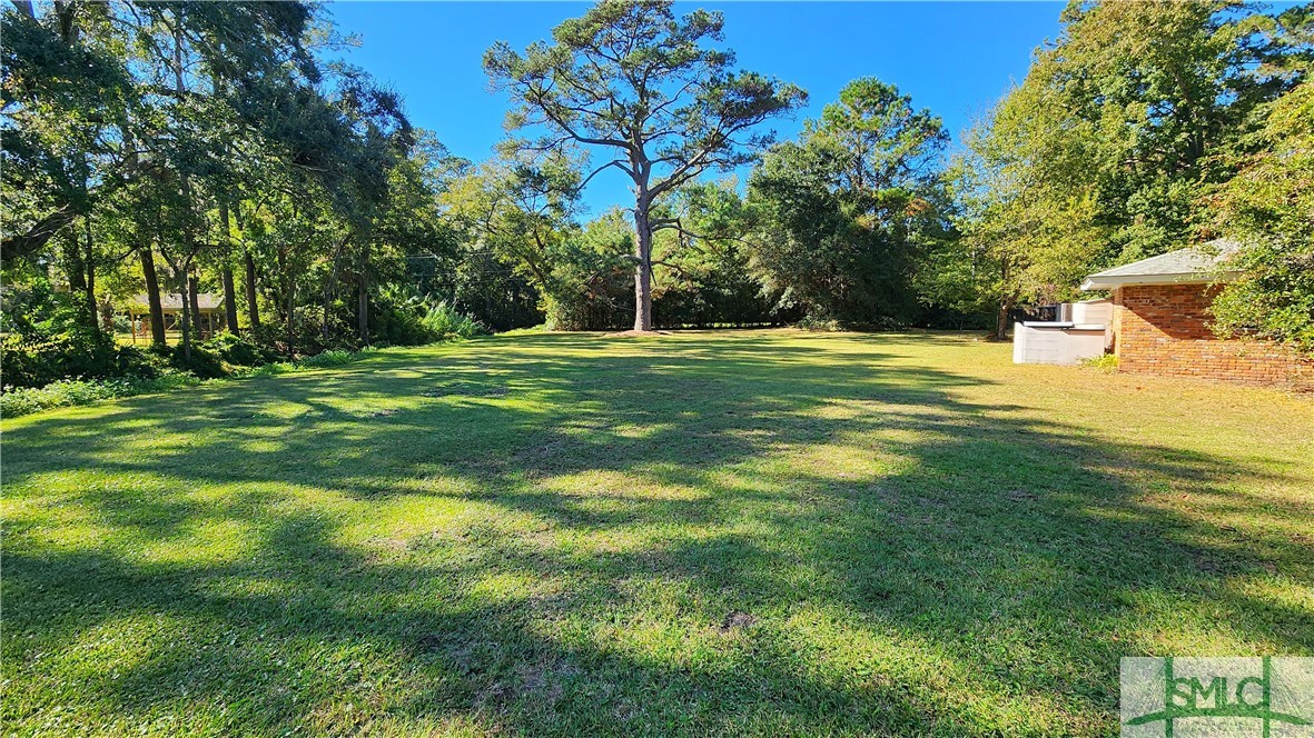 22 South Millward Road Savannah, GA 31410 - Photo 4 of 47 Huge backyard