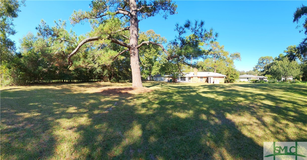 22 South Millward Road Savannah, GA 31410 - Photo 5 of 47 Huge backyard