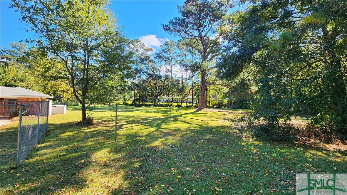 22 South Millward Road Savannah, GA 31410 - Photo 6 of 47 Huge backyard