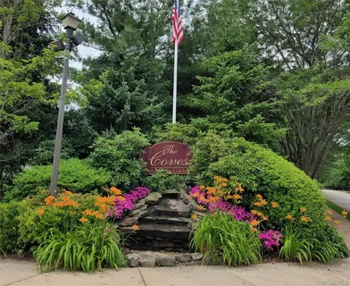 a view of a garden with flowers