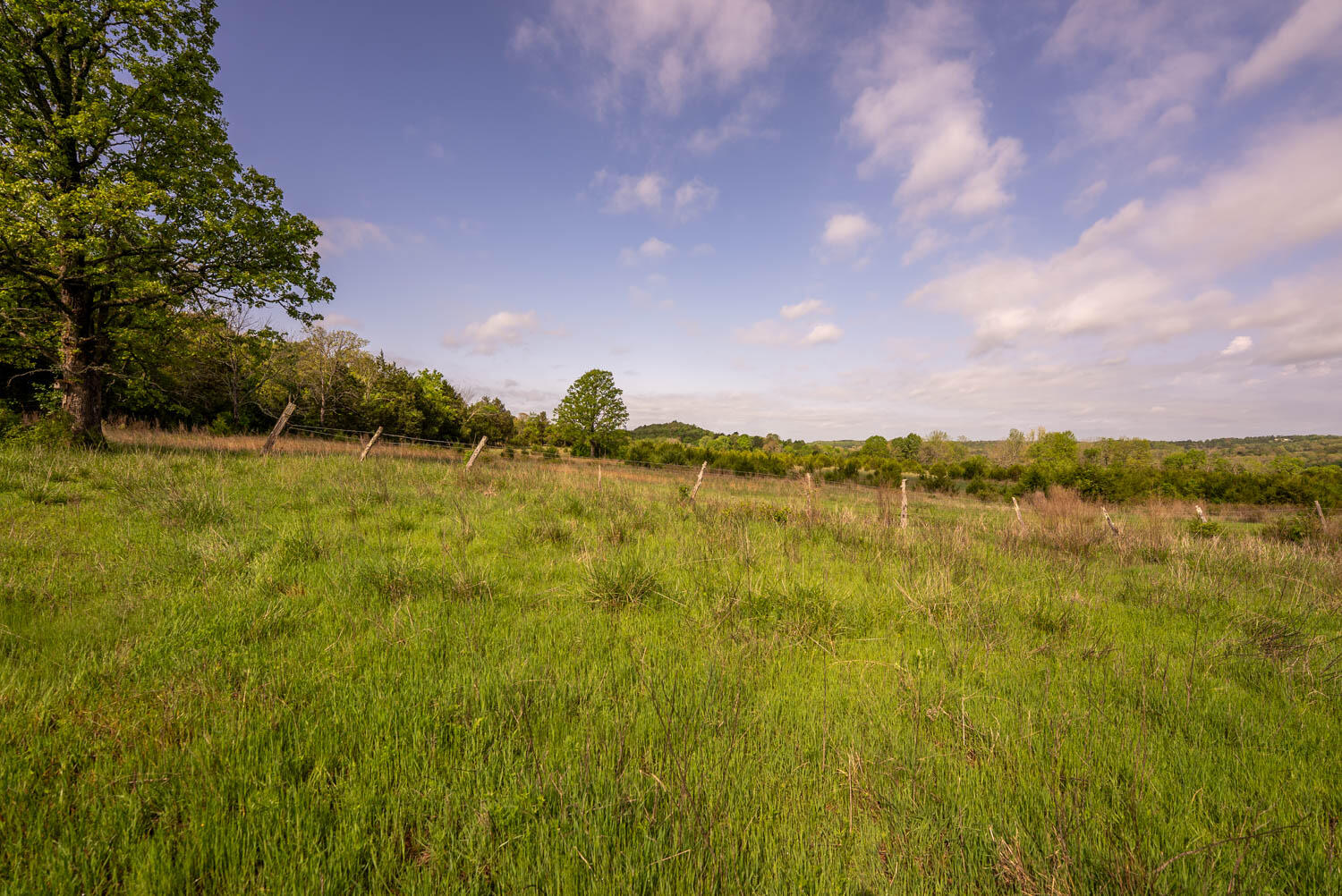 2 Little Woods Road Elizabeth, AR 72531 - Photo 5 of 17 10 acres018