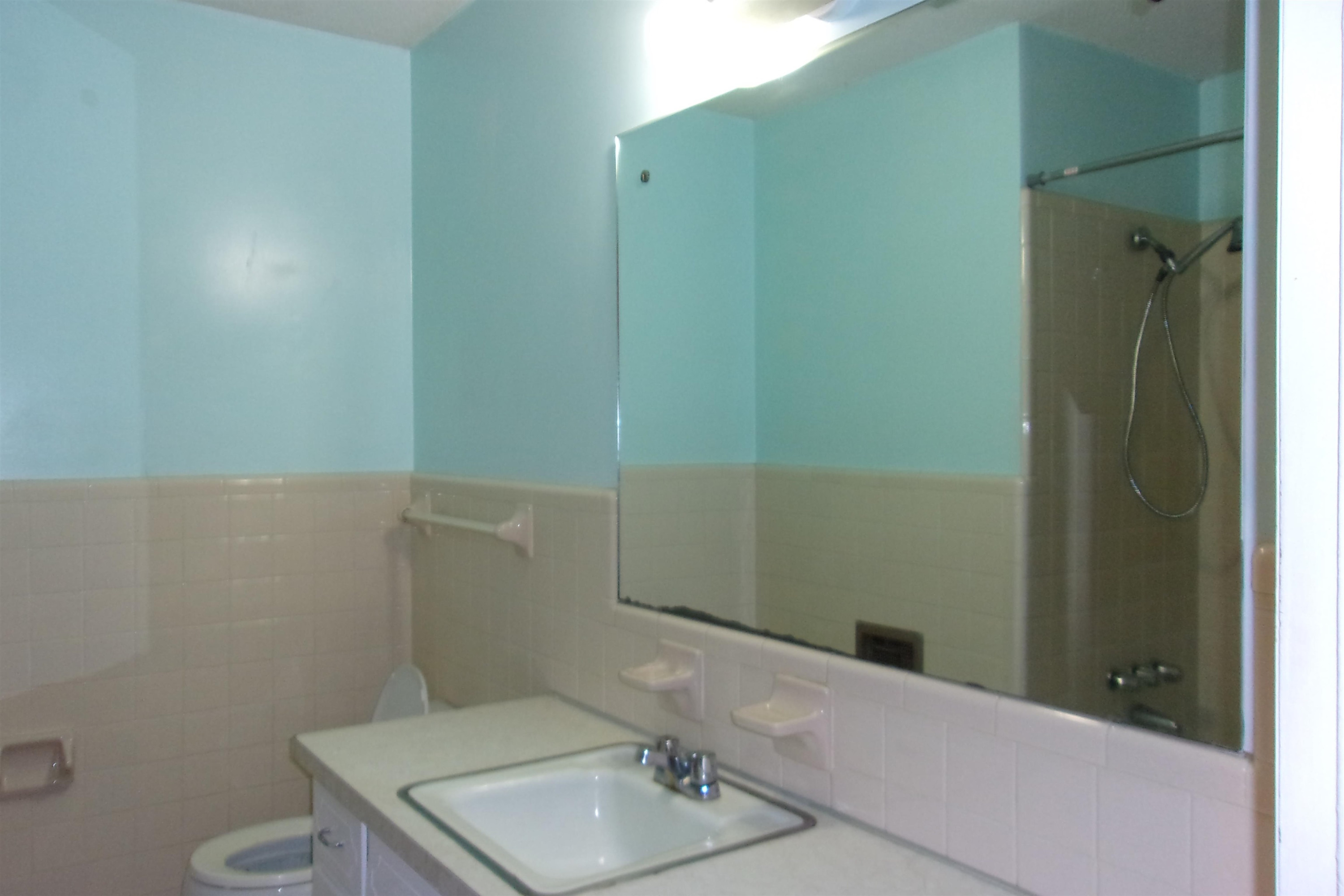 5232 Guess Road Durham, NC 27712 - Photo 8 of 17 a bathroom with a sink a toilet and shower