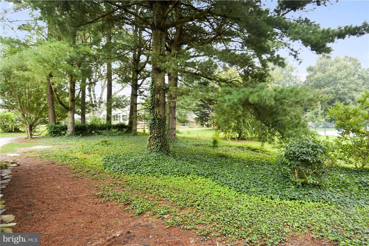 602 Windmill Road Easton, MD 21601 - Photo 8 of 30 Side Yard