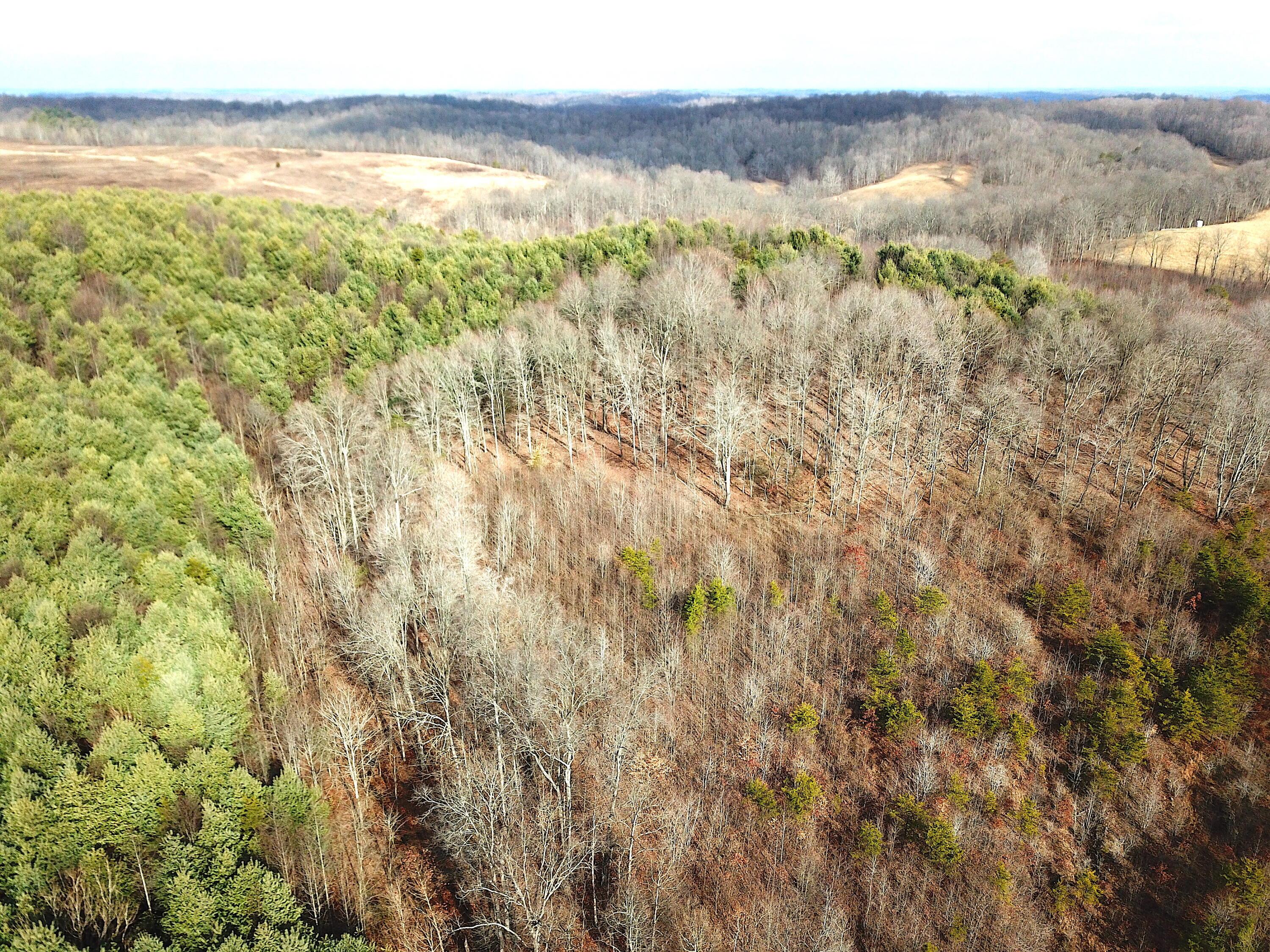 0 Minerton Chapel Road Vinton, OH 45686 - Photo 5 of 25 DJI_0252