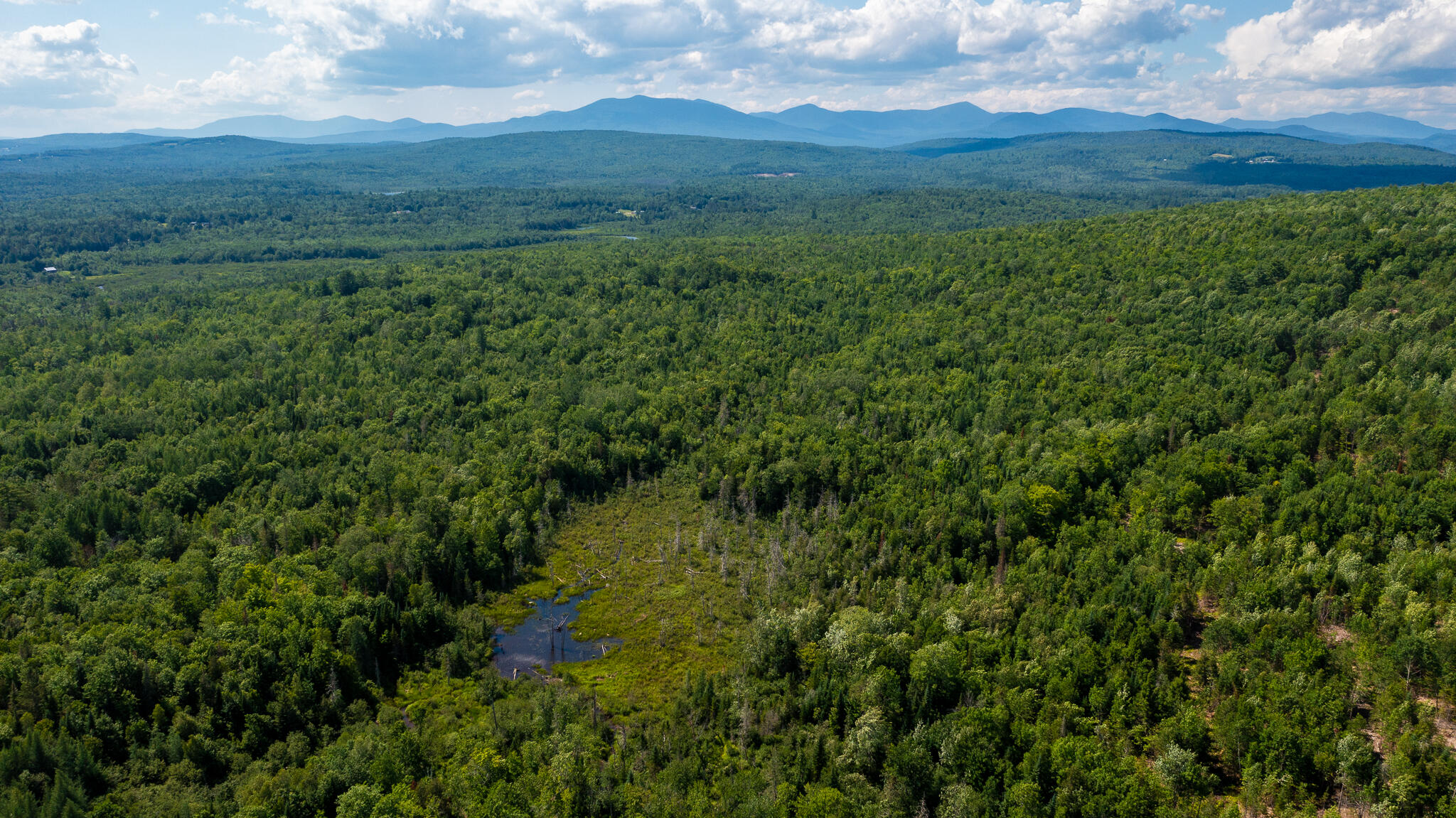 0 Miller Road New Vineyard, ME 04956 - Photo 9 of 48 MNewportland-2