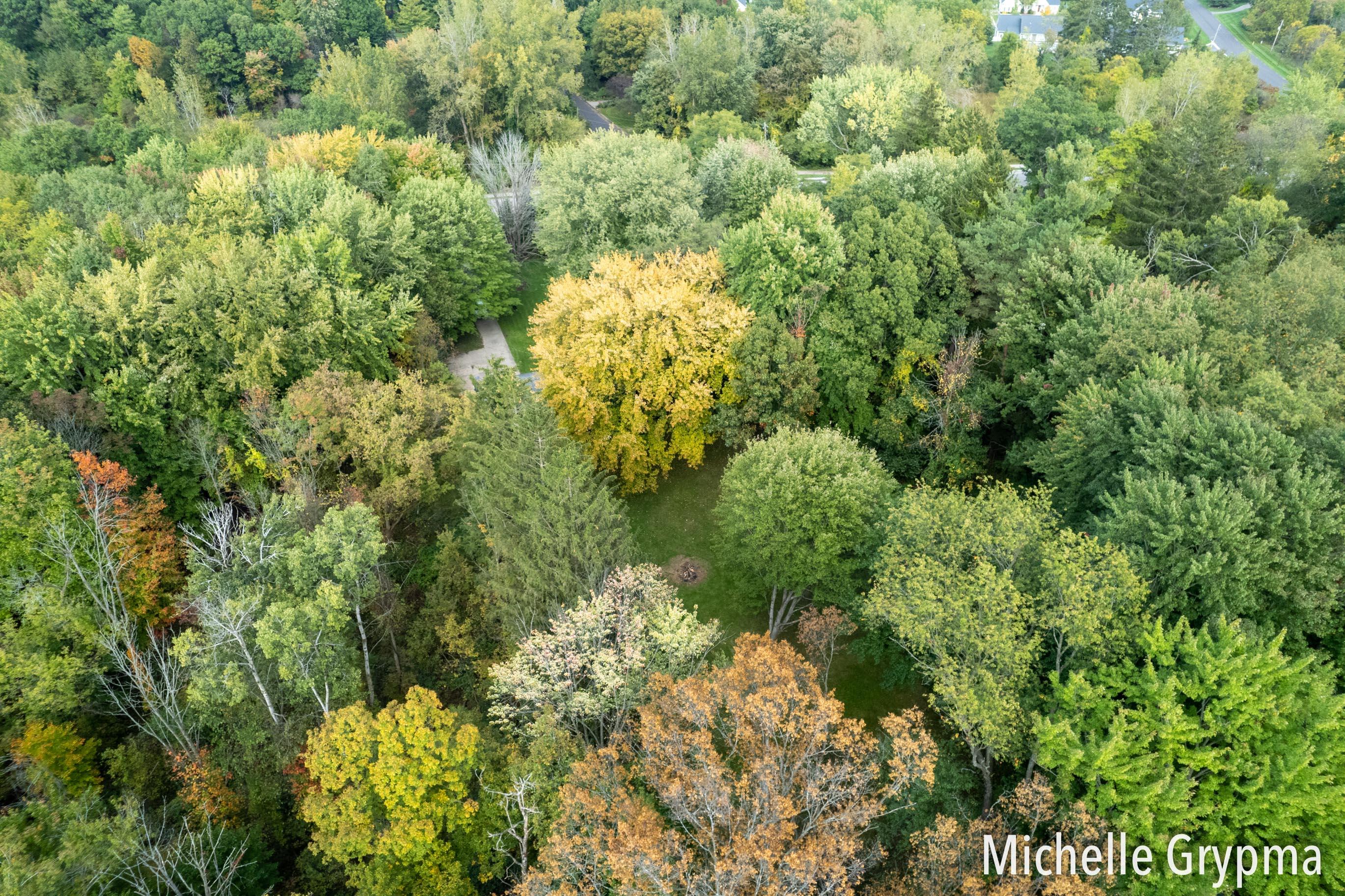 6084 Cascade Road Southeast Grand Rapids, MI 49546 - Photo 41 of 46 Aerial property