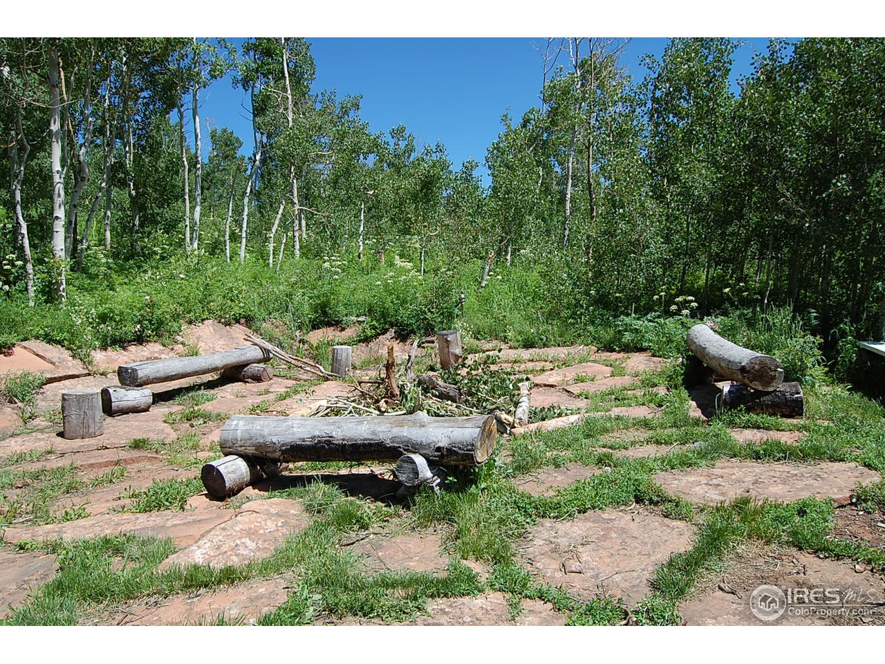450 Mountain Ridge Road Red Feather Lakes, CO 80545 - Photo 8 of 18 Fire Pit Area