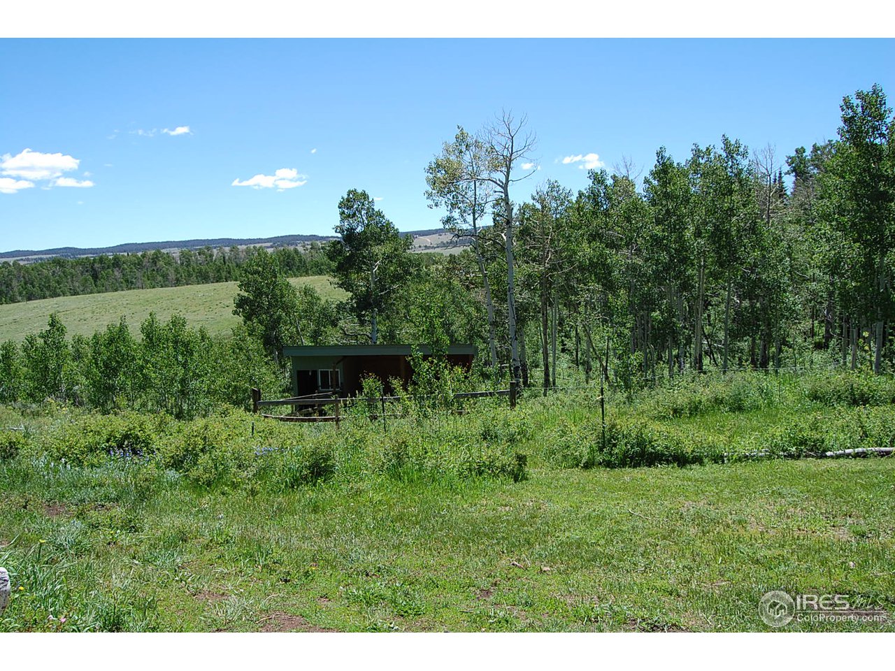 450 Mountain Ridge Road Red Feather Lakes, CO 80545 - Photo 9 of 18 View # 1