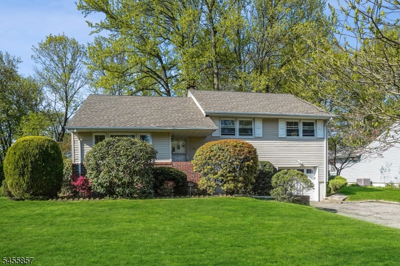 11 North Derby Road Springfield, NJ 07081 - Photo 18 of 20 Gallery Image 18