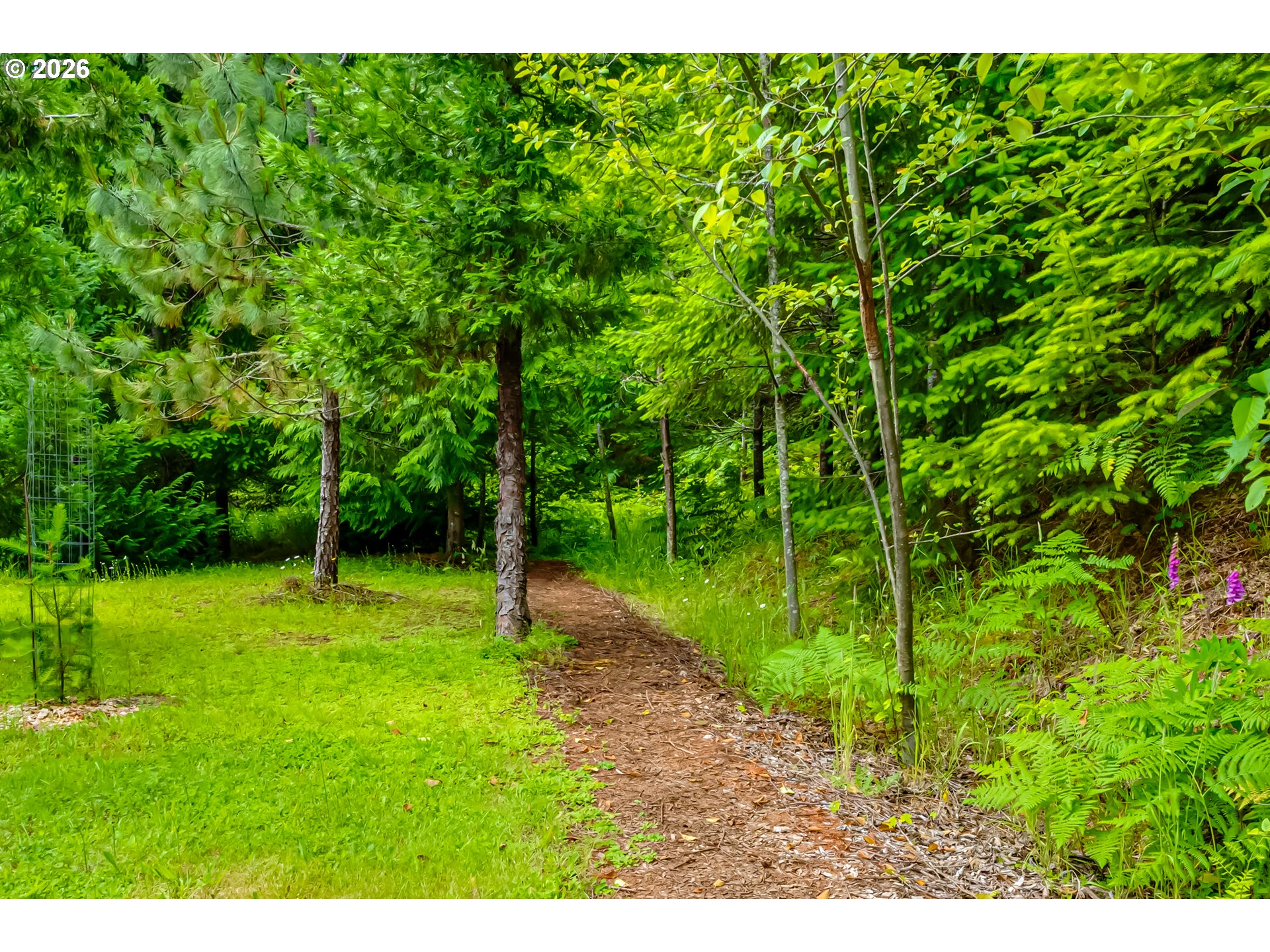 38334 Mccauley Ridge Drive Springfield, OR 97478 - Photo 46 of 48