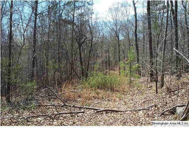 664 Mill Branch Road, Unit 17AC Jacksonville, AL 36265 - Photo 3 of 14