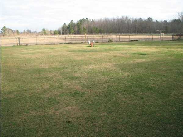 912 West Butcher Switch Road Lafayette, LA 70507 - Photo 10 of 10 Additional Photo