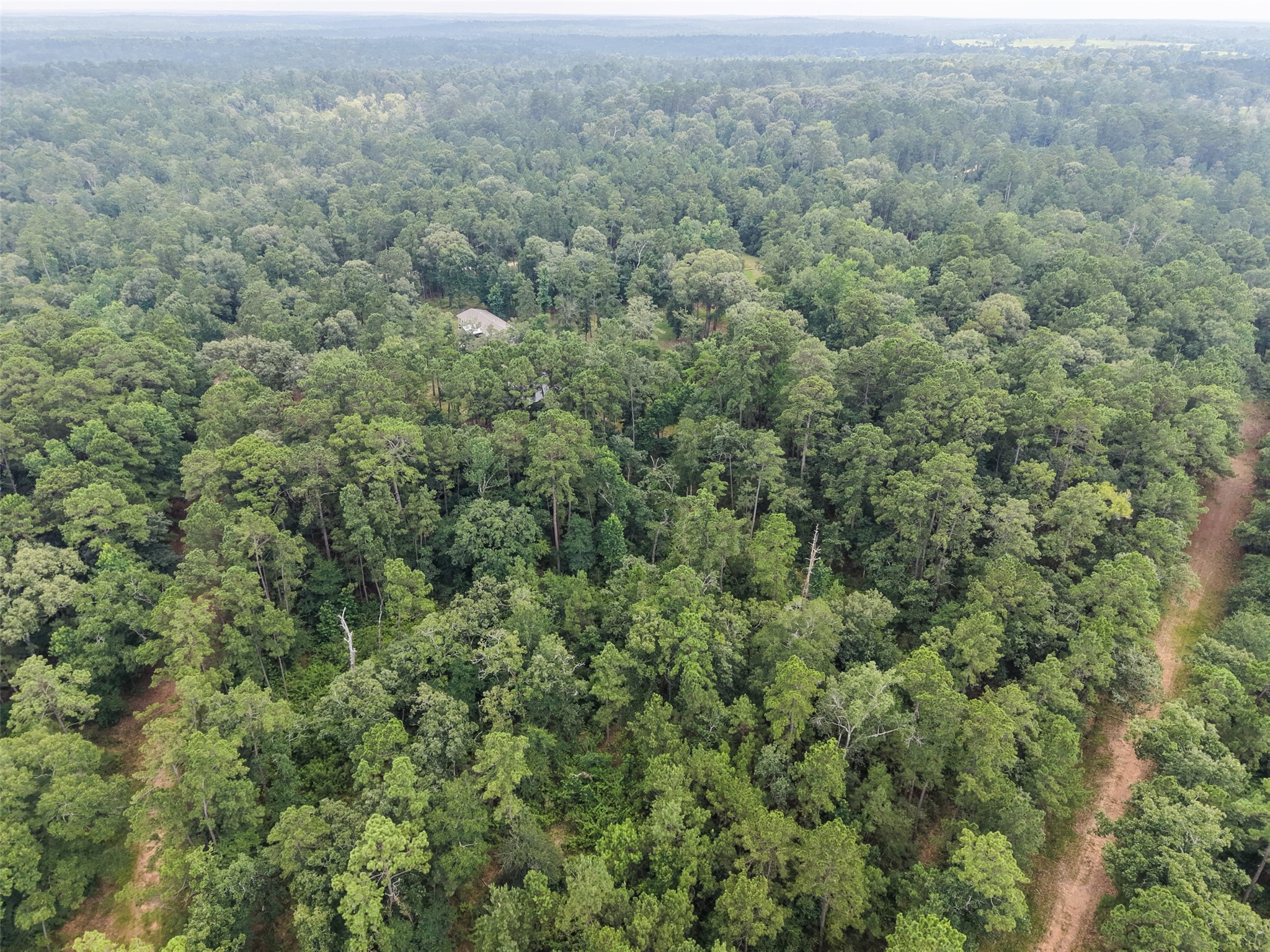 577 Winding River Road South Oakhurst, TX 77359 - Photo 30 of 44
