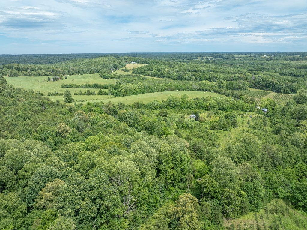Featherfin Road, Unit 3B Prospect, VA 23960 - Photo 23 of 35 Gallery Image 23