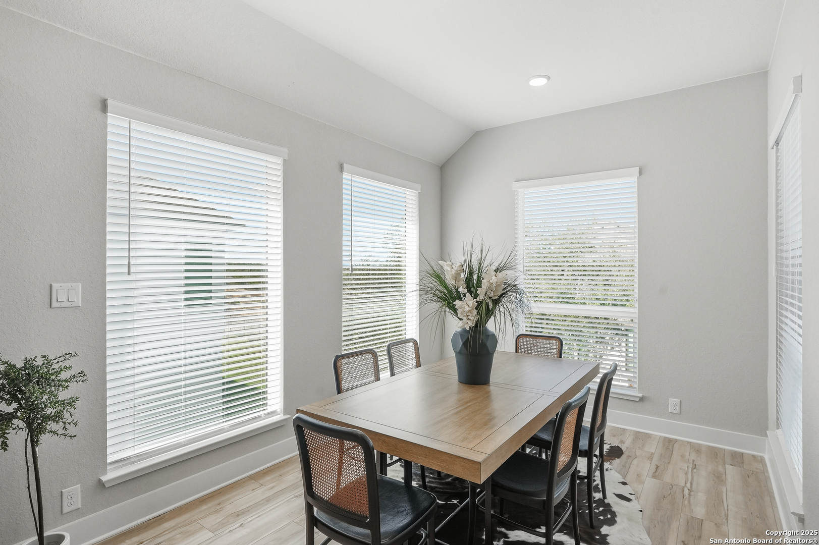 310 Vamanos Boerne, TX 78006 - Photo 21 of 49